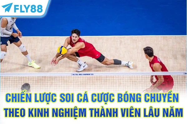 Chiến lược soi cá cược bóng chuyền theo kinh nghiệm thành viên lâu năm