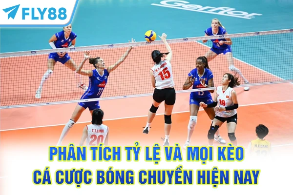 Phân tích tỷ lệ và mọi kèo cá cược bóng chuyền hiện nay